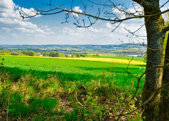 Landscape-3 Landscape-3