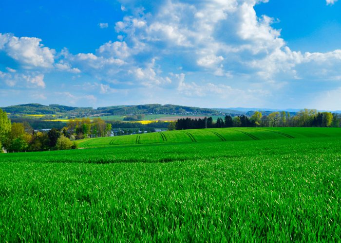 Landscape-4 Landscape-4